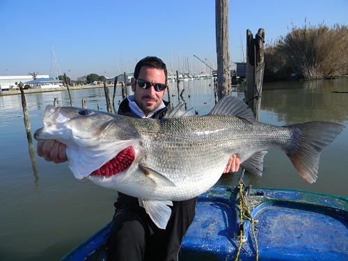 Man Caught a Huge Bass