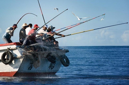 People Fishing For Recreation From a Boat