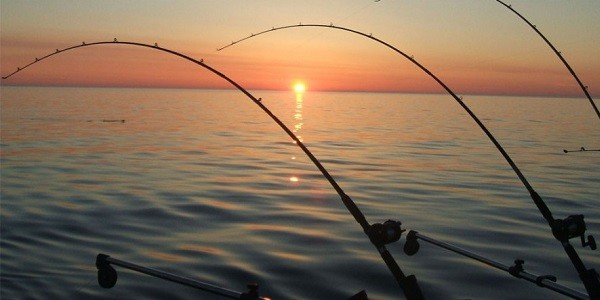 Fishing rods are one of the most valuable tools.