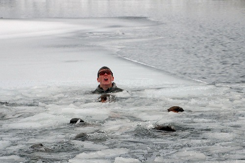 Man Swimming In Cold Water